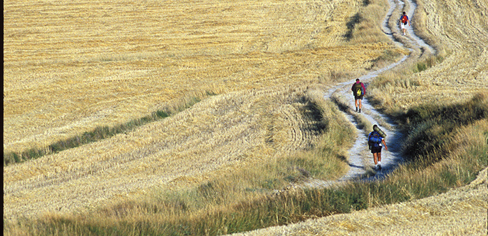 Pilegrimsveien til Santiago de Compostela