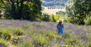 Drôme: I sansenes rike