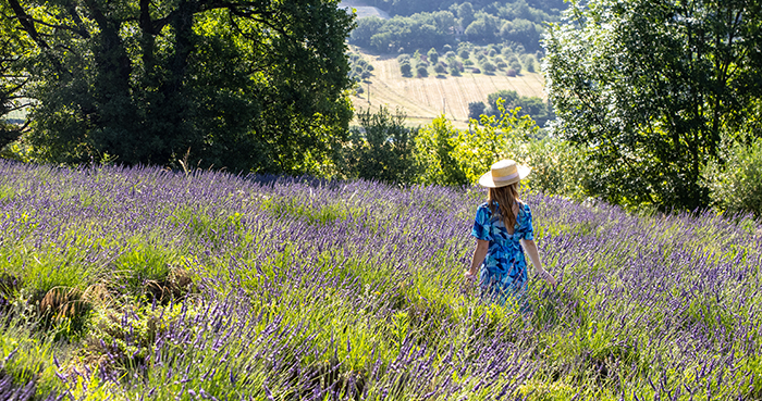 Drôme: I sansenes rike